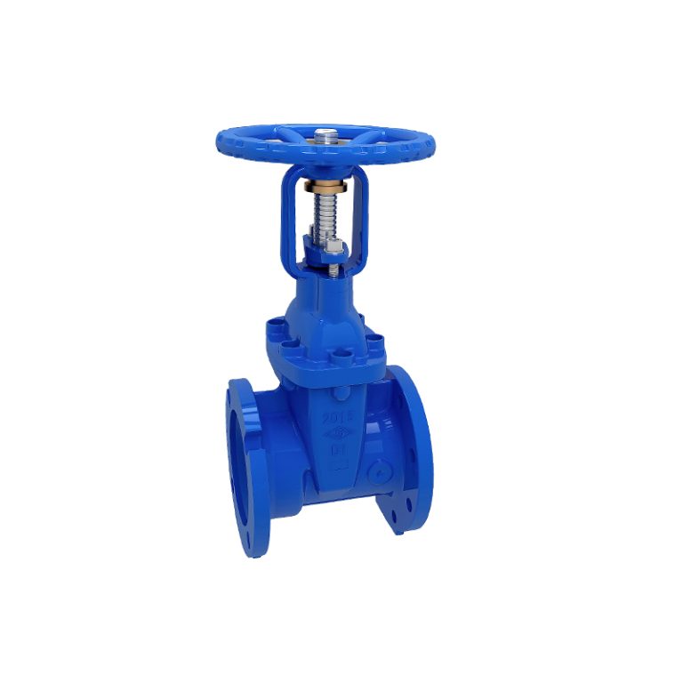AWWA Flanged x Mechanical Joint Resilient OS&Y Gate Valve (Z01X)