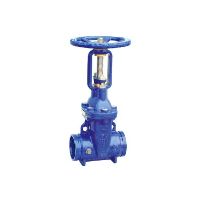 AWWA Grooved Resilient OS&Y Gate Valve (XZ81X)