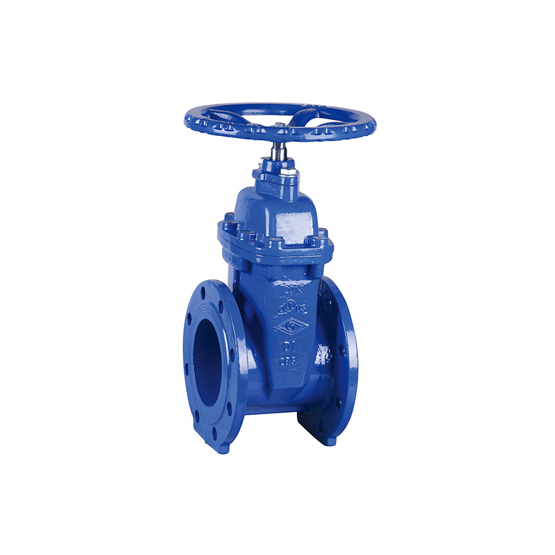 DIN Flanged Resilient NRS Gate Valve (Z45X)