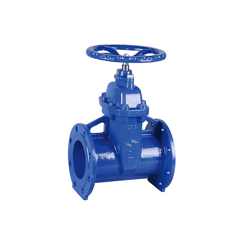 DIN Flanged Resilient NRS Gate Valve (Z45XF5)